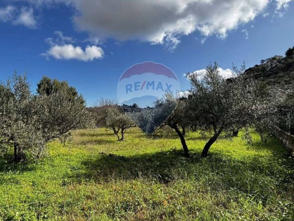 terreno agricolo in vendita a Monreale in zona San Martino delle Scale