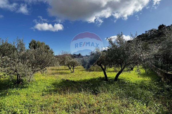 immagine annuncio 0 di 15