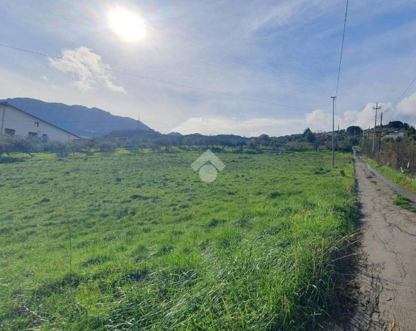 terreno agricolo in vendita a Monreale