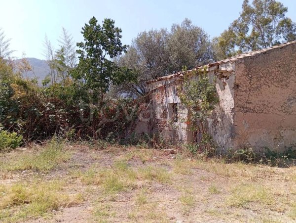 terreno agricolo in vendita a Monreale
