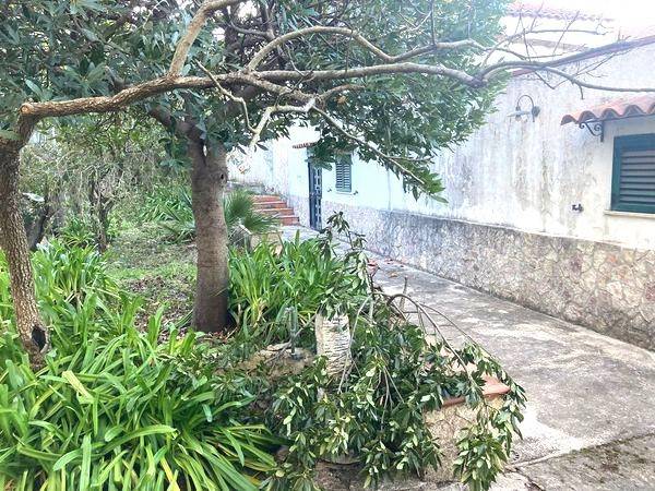 casa indipendente in vendita a Monreale in zona Giacalone