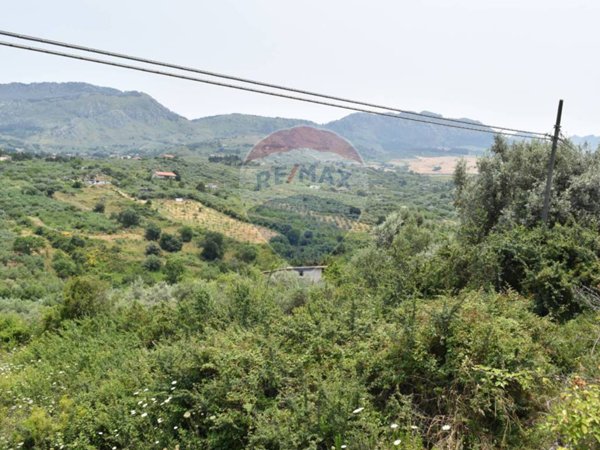 terreno agricolo in vendita a Monreale