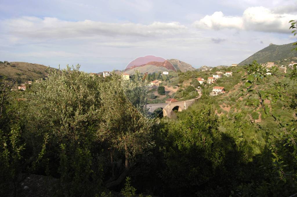 terreno agricolo in vendita a Monreale