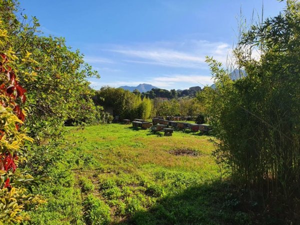 casa indipendente in vendita a Monreale in zona Giacalone
