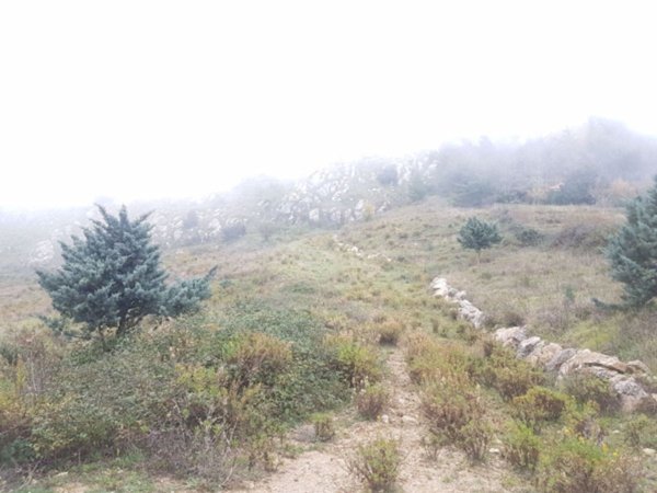 terreno agricolo in vendita a Monreale in zona Poggio San Francesco
