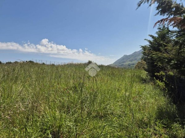 terreno agricolo in vendita a Monreale in zona Giacalone