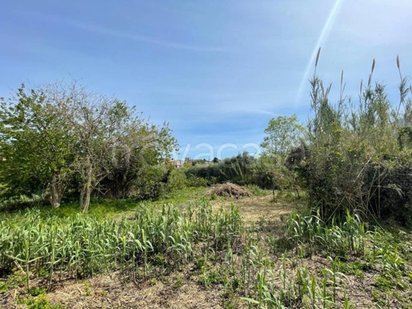 terreno agricolo in vendita a Monreale in zona Aquino