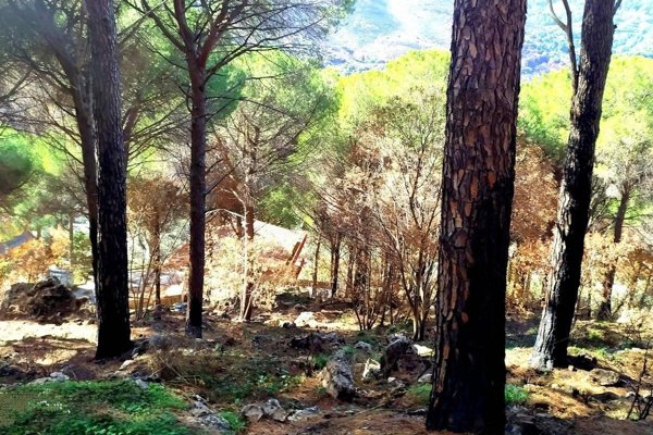 terreno agricolo in vendita a Monreale in zona Monte Caputo