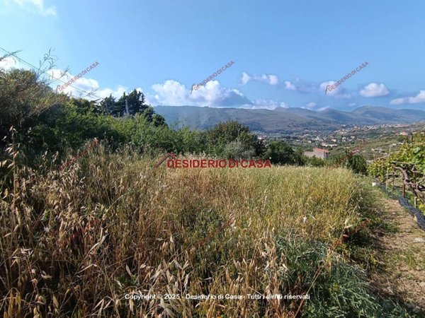 terreno agricolo in vendita a Monreale in zona Pioppo