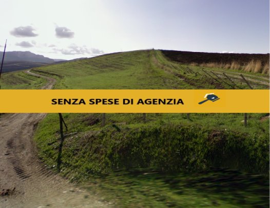 casa indipendente in vendita a Monreale