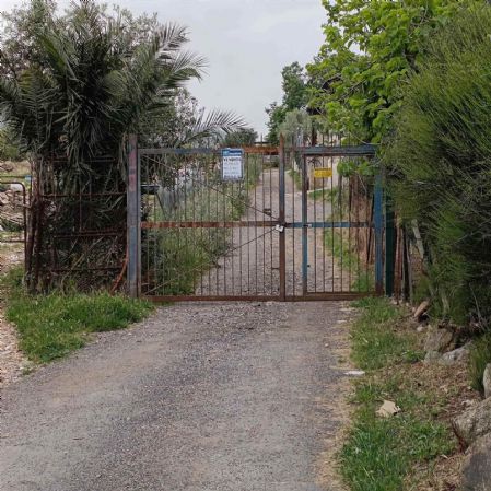 terreno agricolo in vendita a Monreale in zona Aquino