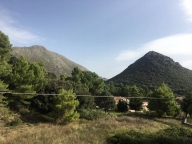 immagine annuncio 0 di 8