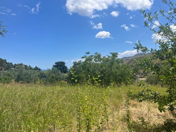 terreno agricolo in vendita a Monreale