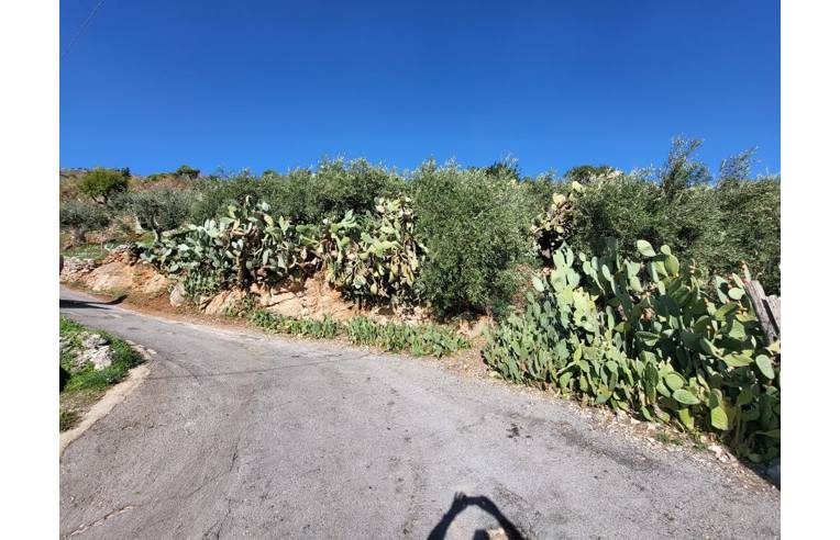 terreno agricolo in vendita a Monreale