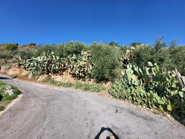 terreno agricolo in vendita a Monreale