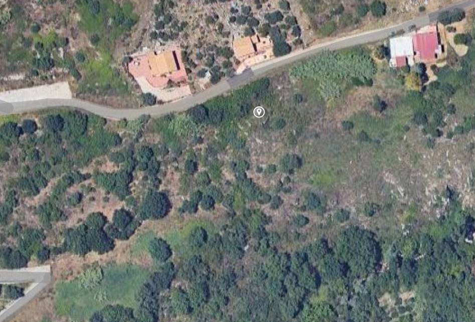 terreno agricolo in vendita a Monreale