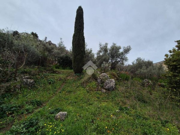 terreno agricolo in vendita a Monreale in zona San Martino delle Scale