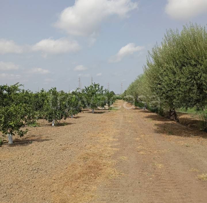terreno agricolo in vendita a Monreale in zona San Martino delle Scale