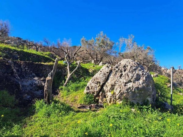 terreno agricolo in vendita a Monreale in zona Monte Caputo