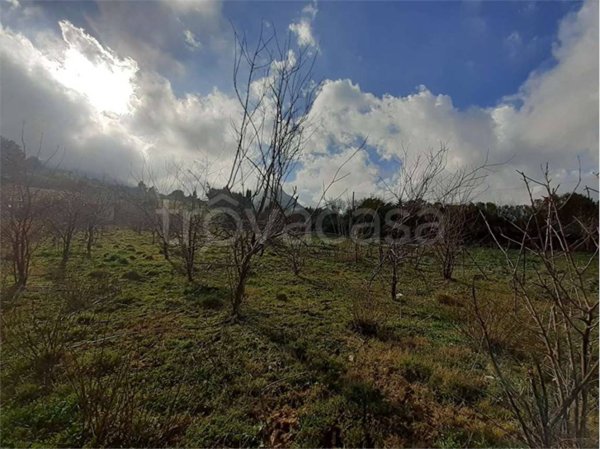 terreno agricolo in vendita a Monreale