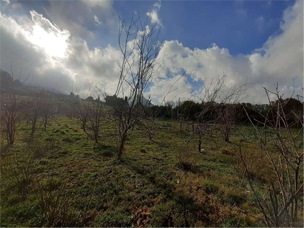 terreno agricolo in vendita a Monreale