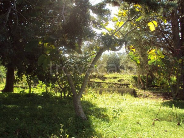terreno agricolo in vendita a Monreale