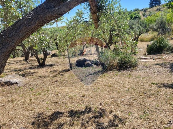 terreno agricolo in vendita a Monreale in zona Monte Caputo