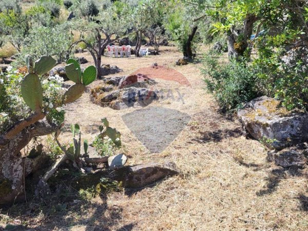 terreno agricolo in vendita a Monreale in zona Monte Caputo