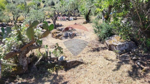 immagine annuncio 0 di 15