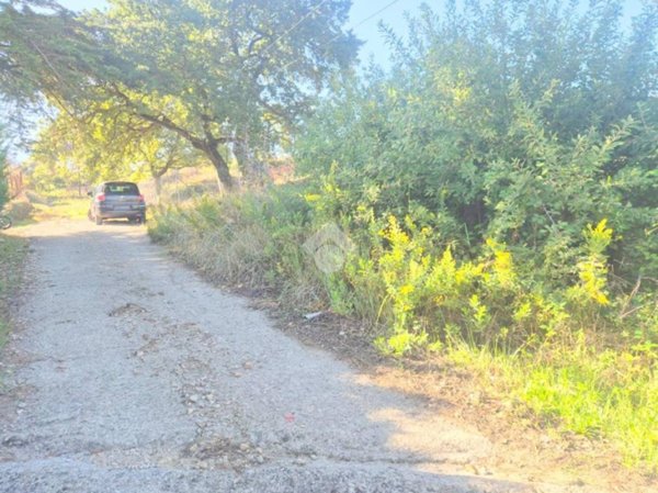 terreno agricolo in vendita a Monreale in zona Santa Rosalia
