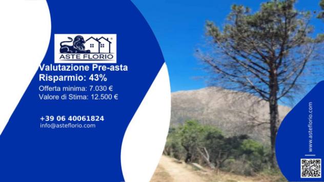 terreno agricolo in vendita a Monreale in zona Montefiascone