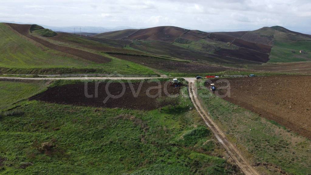 terreno agricolo in vendita a Monreale