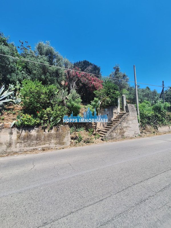 casa indipendente in vendita a Monreale