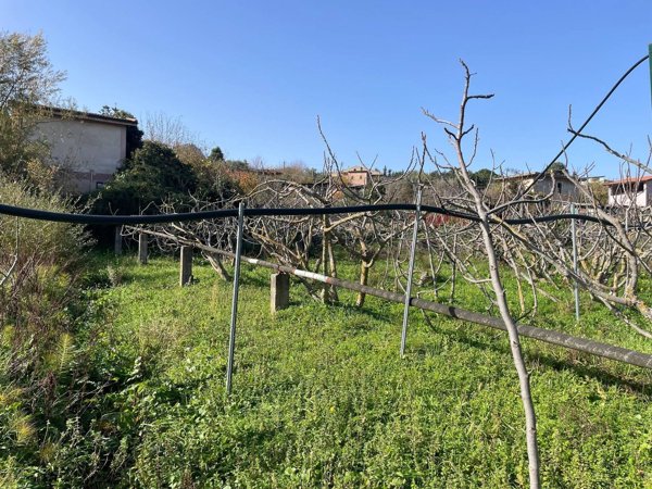 terreno edificabile in vendita a Monreale