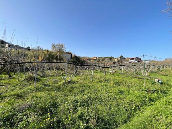 terreno edificabile in vendita a Monreale