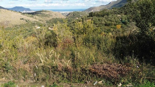 terreno agricolo in vendita a Monreale