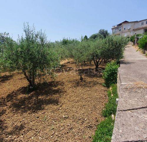 appartamento in vendita a Monreale