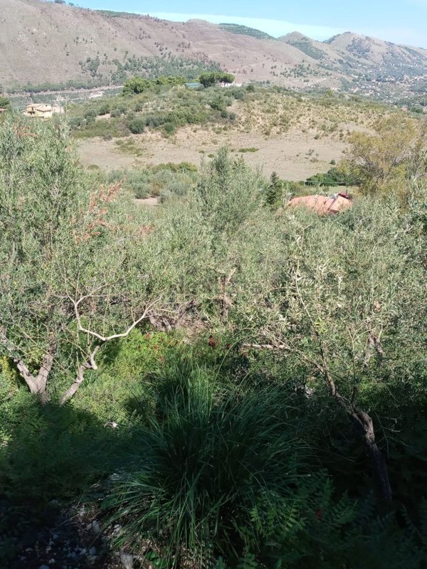 terreno edificabile in vendita a Monreale