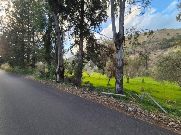 terreno agricolo in vendita a Monreale