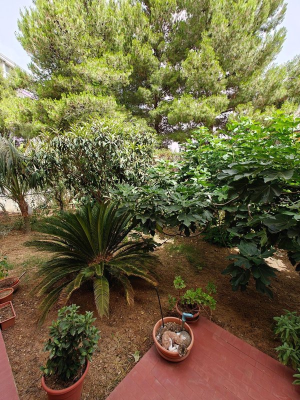 appartamento in vendita a Monreale