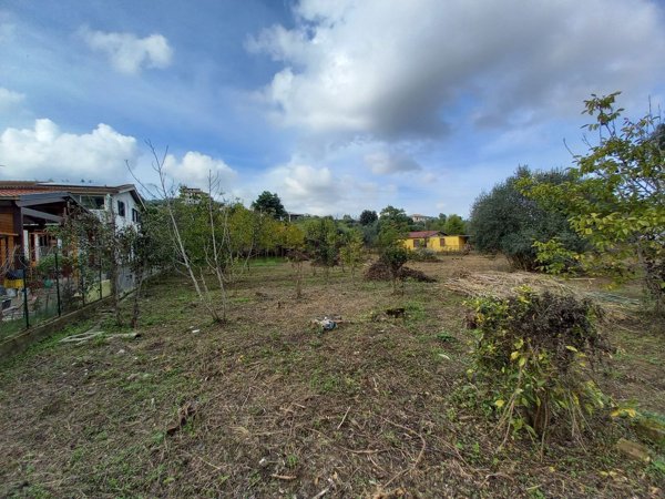 terreno agricolo in vendita a Monreale in zona Pietre Mole