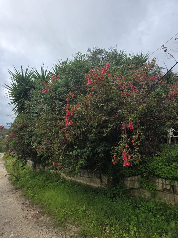 appartamento in vendita a Monreale