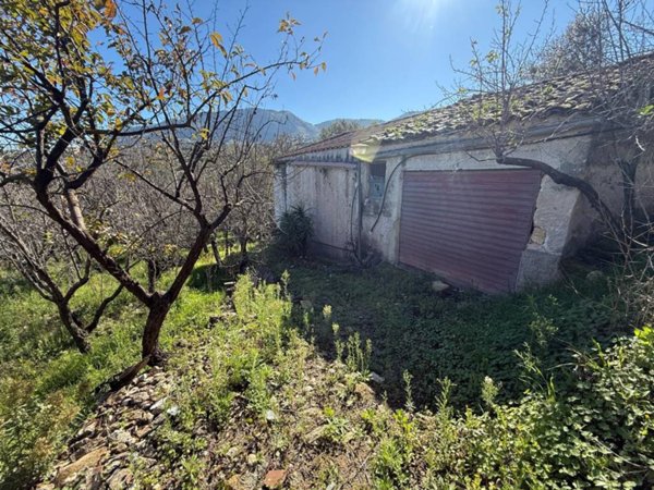 terreno agricolo in vendita a Monreale