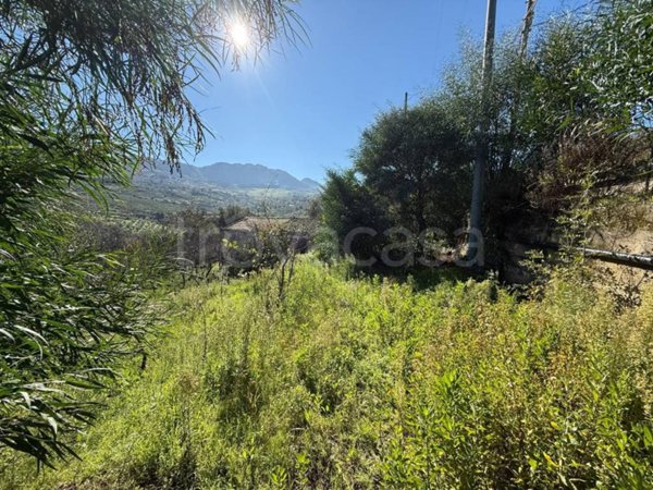 terreno agricolo in vendita a Monreale