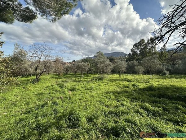 azienda agricola in vendita a Monreale