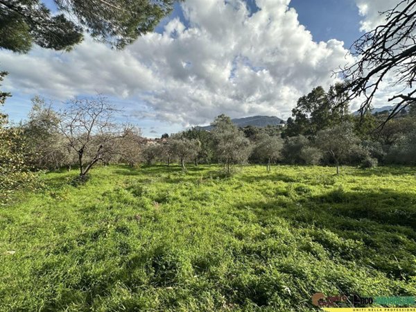 azienda agricola in vendita a Monreale