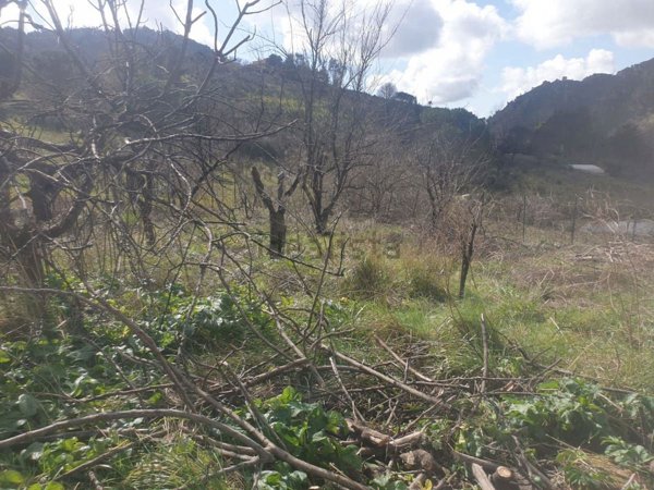 casa indipendente in vendita a Monreale in zona Poggio San Francesco