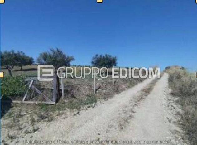 terreno agricolo in vendita a Monreale