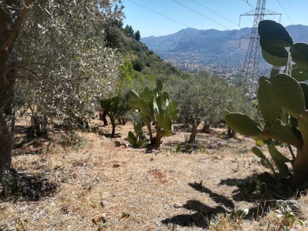 terreno edificabile in vendita a Monreale
