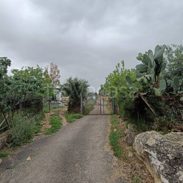 terreno agricolo in vendita a Monreale